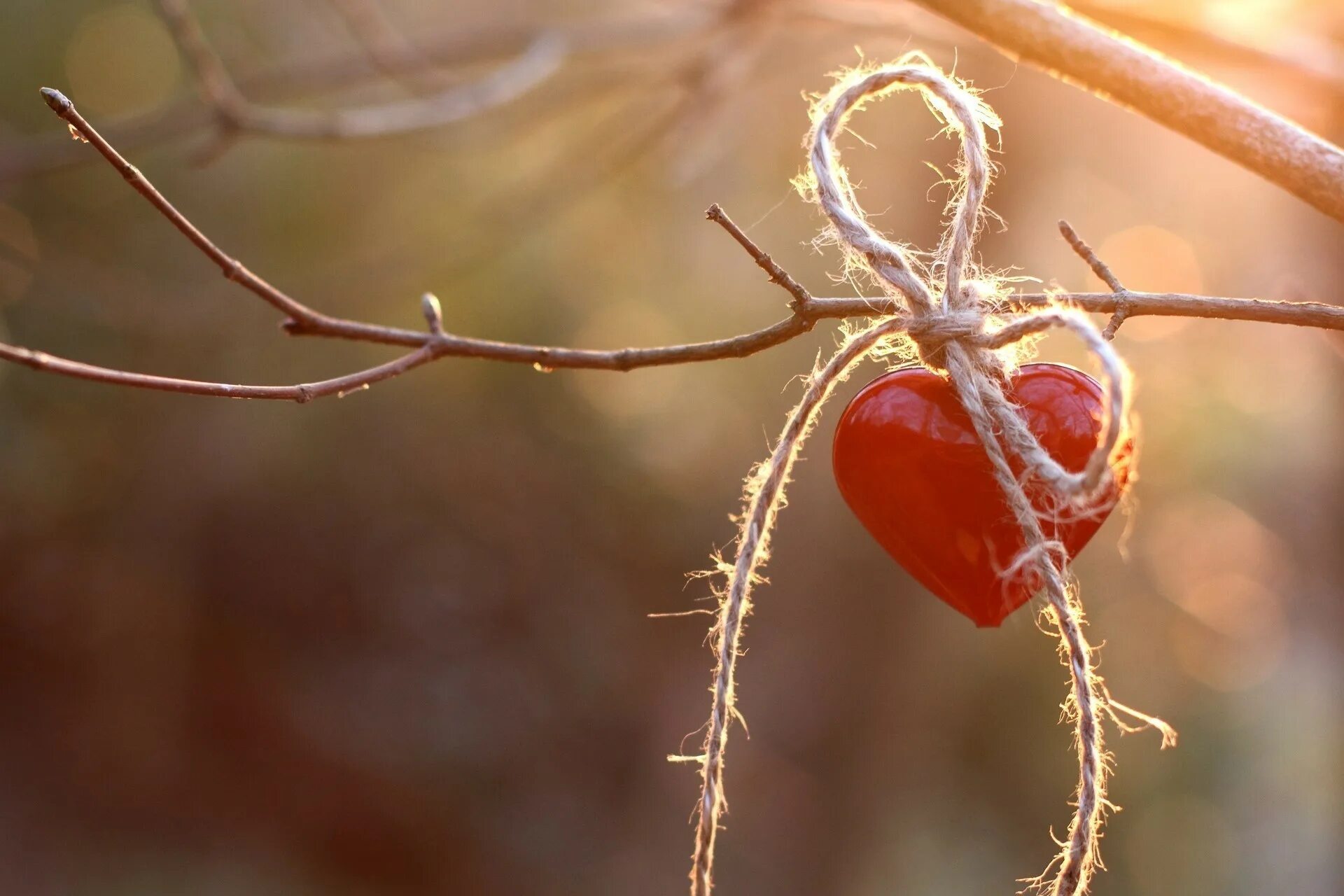 У креста положу свое сердце как розу. Я ношу свое сердце как хрупкую вазу. Цветы в вазе сердечко. Душевные чувства. У креста положу свое сердце как розу слова.