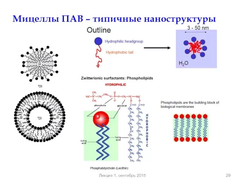 Структура мицеллы пав. Строение мицелл пав. Схематическое строение мицелл пав. Мицеллы в мицеллярной воде.