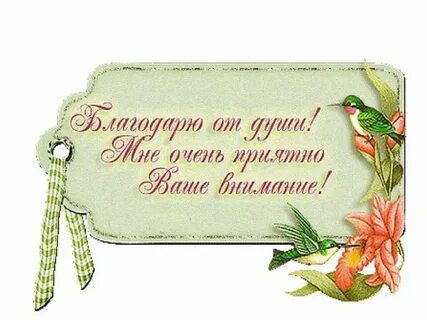 Как пишется благодарен или благодарен