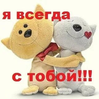 Родная я тут дай мне