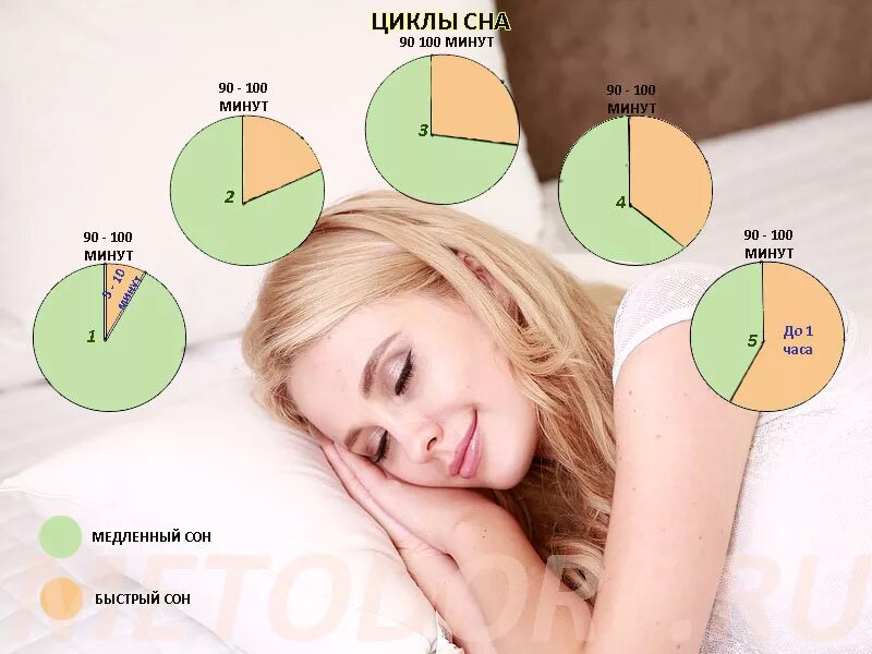 Фазы и циклы сна. Фазы сна схема. Цикл быстрого сна. Фазы сна циклы сна.