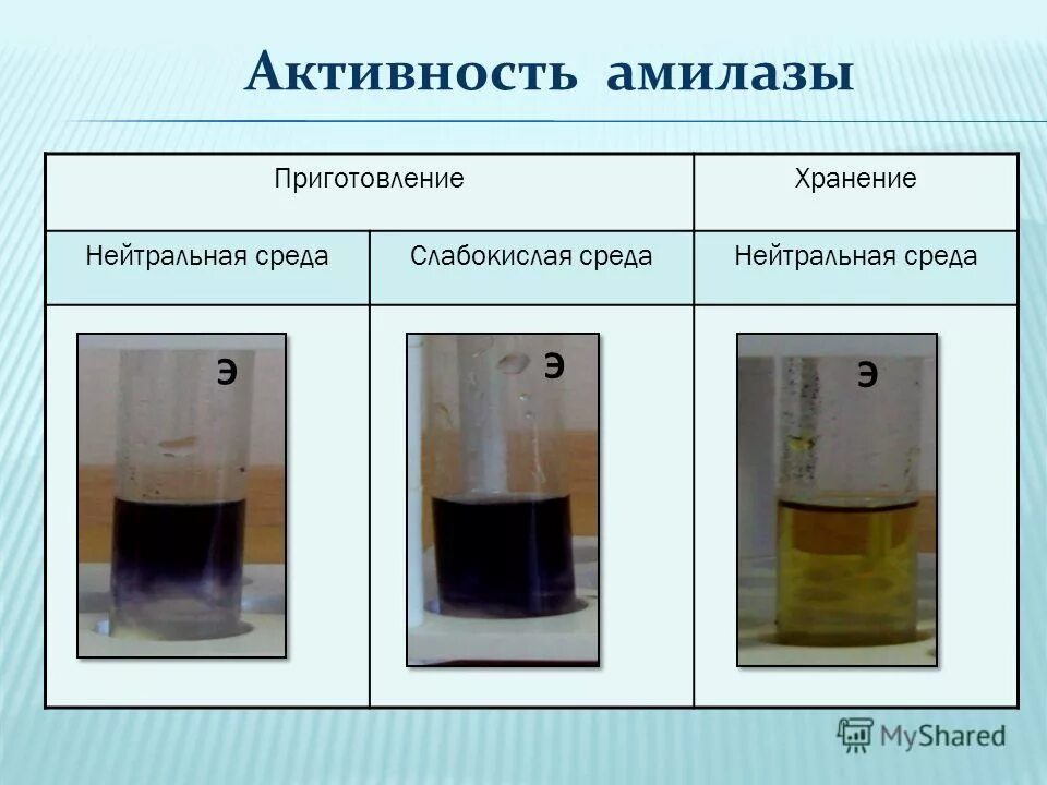 Изучение каталитической активности. Влияние PH среды на активность амилазы слюны. Влияние РН на активность амилазы слюны. Влияние РН среды на активность амилазы слюны. Влияние PH среды на активность амилазы.