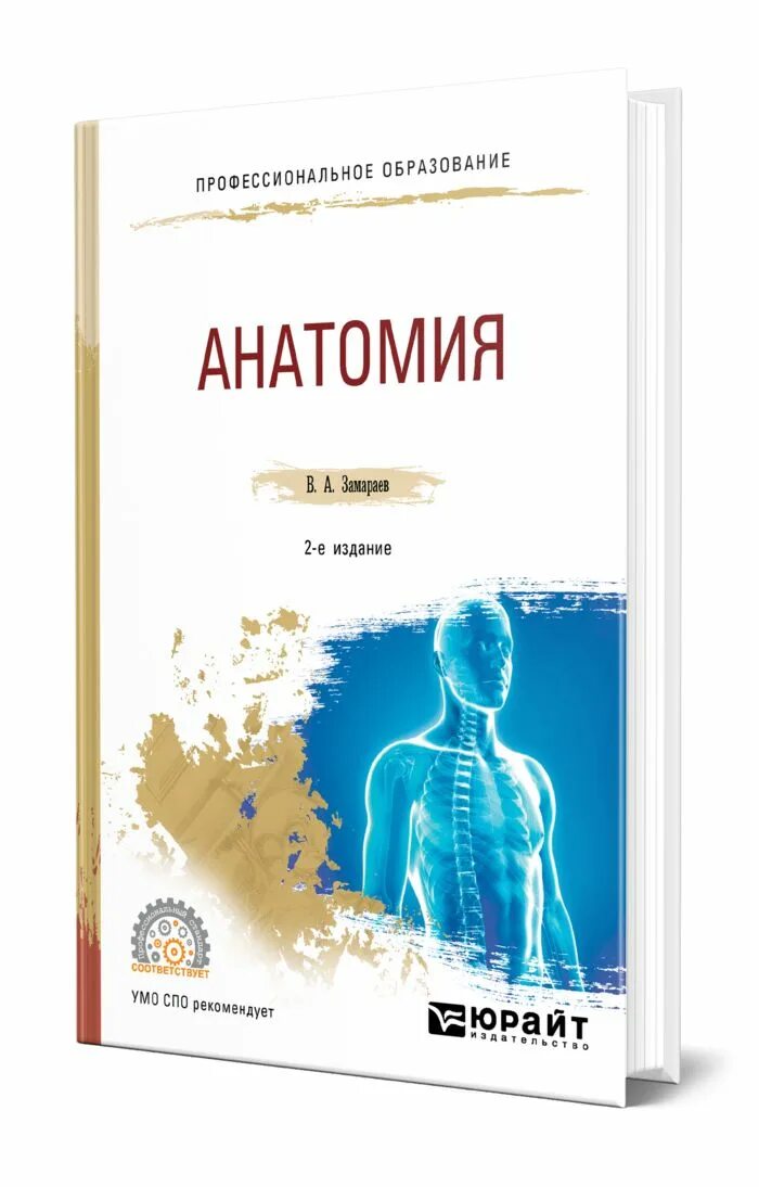 Анатомия и физиология человека федюкович 2017. Гайворонский анатомия и физиология человека 13 издание. Возрастная анатомия учебник соловьёва. Книга анатомия и физиология человека федюкович. Анатомия и физиология человека.