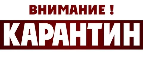 Определите происхождение слов карантин
