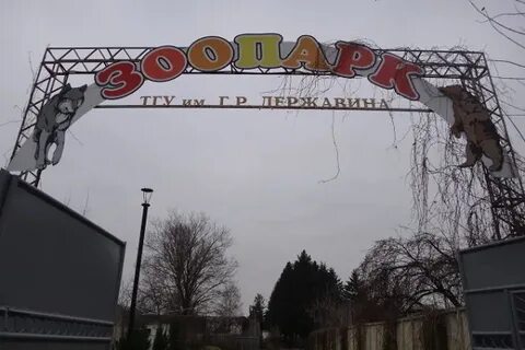 Зоопарк тамбов