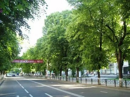 Улица краевая краснодар