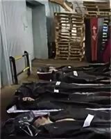 центр опознания ростов адрес. ворошиловский проспект 44 ростов на дону. минобороны ар подтвердило информацию о гибели военнослужащего. трупы детей погибших в авиакатастрофе. пр.