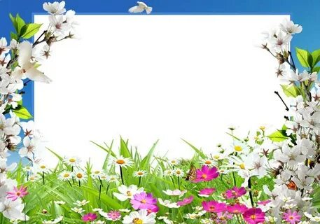 Қатал емізікшелер