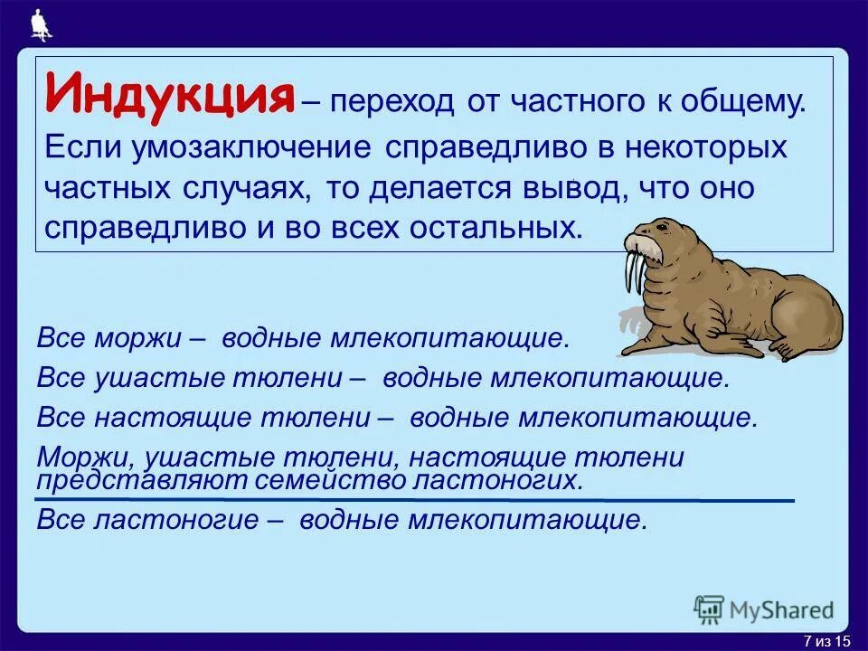 Умозаключение от общего к общему. Индуктивный метод пример. пример индукции. индуктивное умозаключение пример. метод дедукции и индукции примеры.