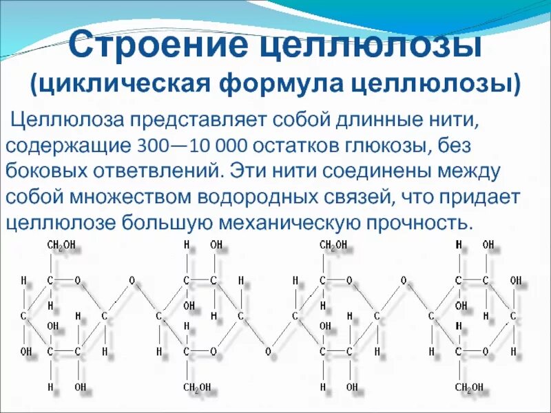 Целлюлоза какое строение. Изомеры целлюлозы. целлюлоза строение. целлюлоза структурная формула. номенклатура целлюлозы.