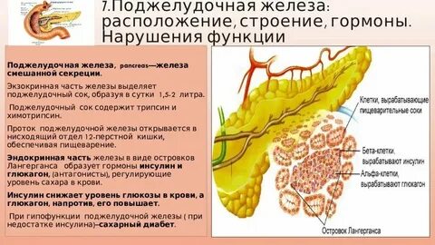 Поджелудочная железа виноград можно есть