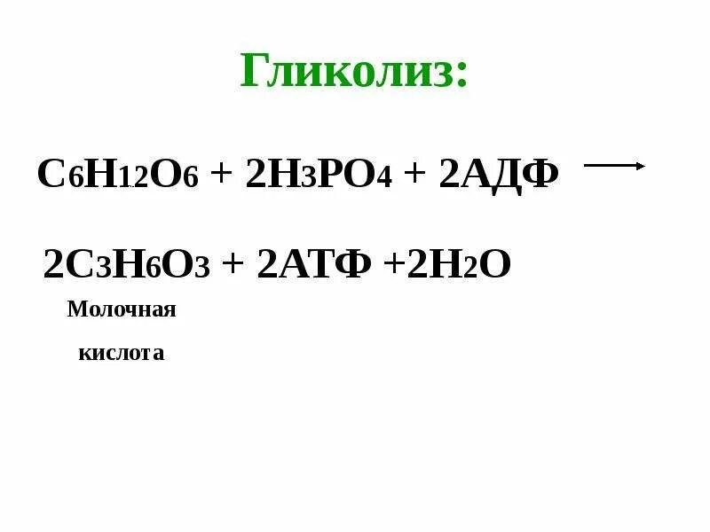 Атф н2о. С6н12о6 + 2 АДФ + 2 н3ро4 ––> 2 с3н6о3 + 2 АТФ + 2 н2о. C6h12o6+2адф. C6h12o2 +2h3po4+2адф. АТФ н2о АДФ н3ро4.