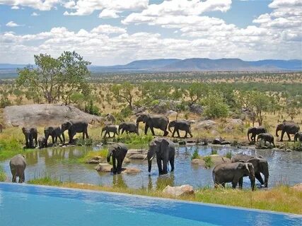Serengeti