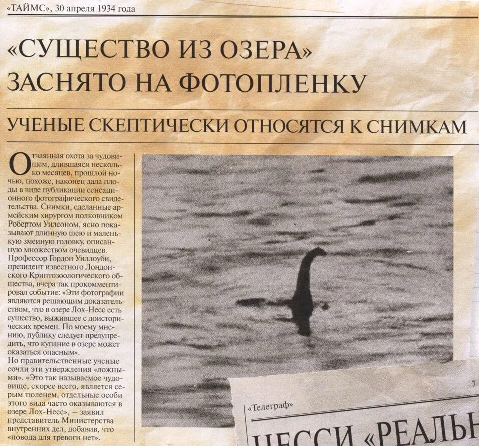 Лохнесское чудовище. Мифические существа с списанием. Лохнесское чудовище легенда. Легенды о мифических существах. Что такое лохнесское чудовище на англ.