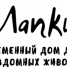 Что содержится в лапках. Что содержится в лапках