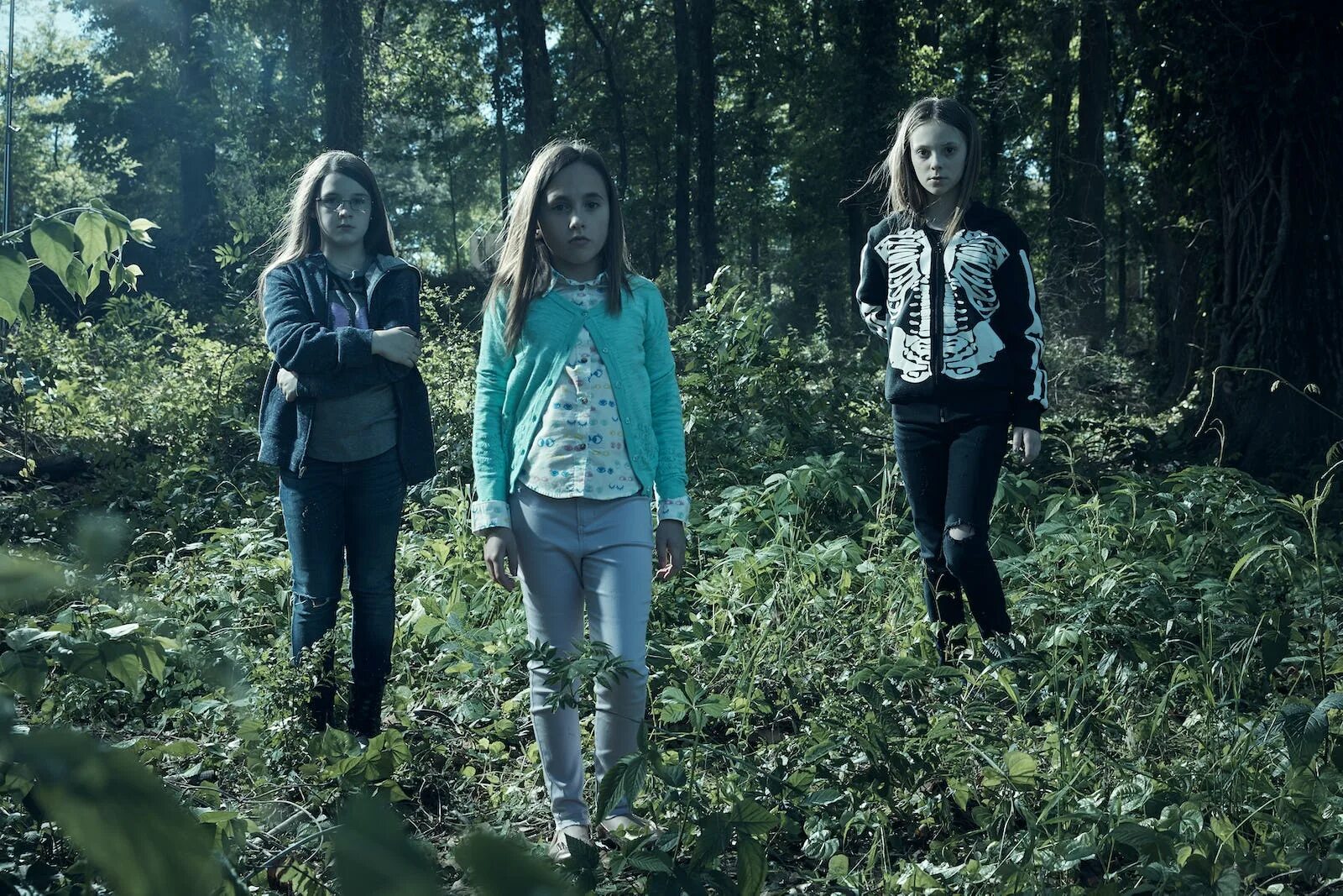 Deep in the woods. The Woods of Daemar фильм 2014. In the Woods группа.