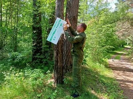 Алексеевское лесничество