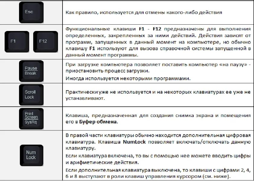 Сочетание клавиш отключающая клавиатуру. Обозначение кнопок на клавиатуре компьютера. f2 обозначение функциональной клавиши на клавиатуре компьютера. расшифровка клавиатуры компьютера мини таблица. клавиатура ноутбука асус назначение клавиш.