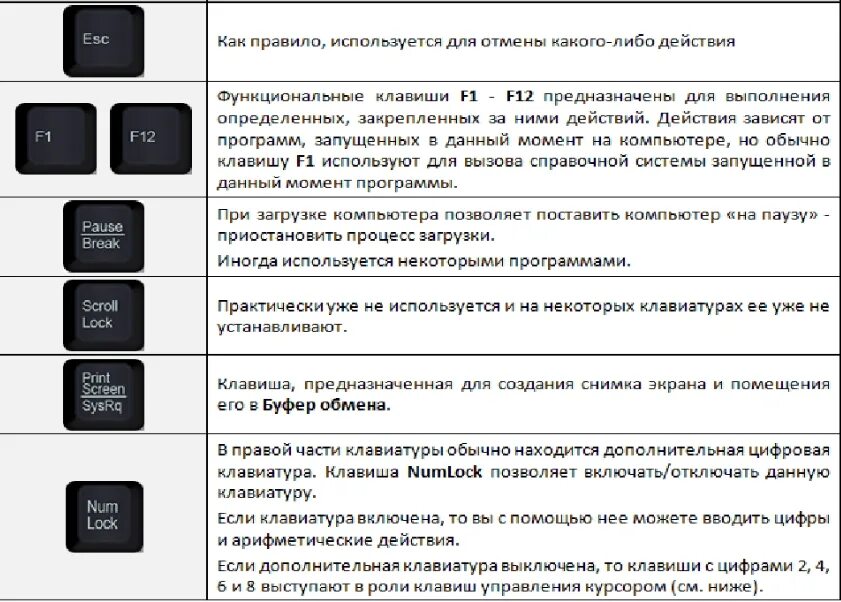 Несколько клавишей не работает. Обозначение кнопок на клавиатуре ноутбука ASUS. F2 обозначение функциональной клавиши на клавиатуре компьютера. Клавиатура ноутбука ASUS Назначение клавиш. Назначение кнопок компьютерной клавиатуры.