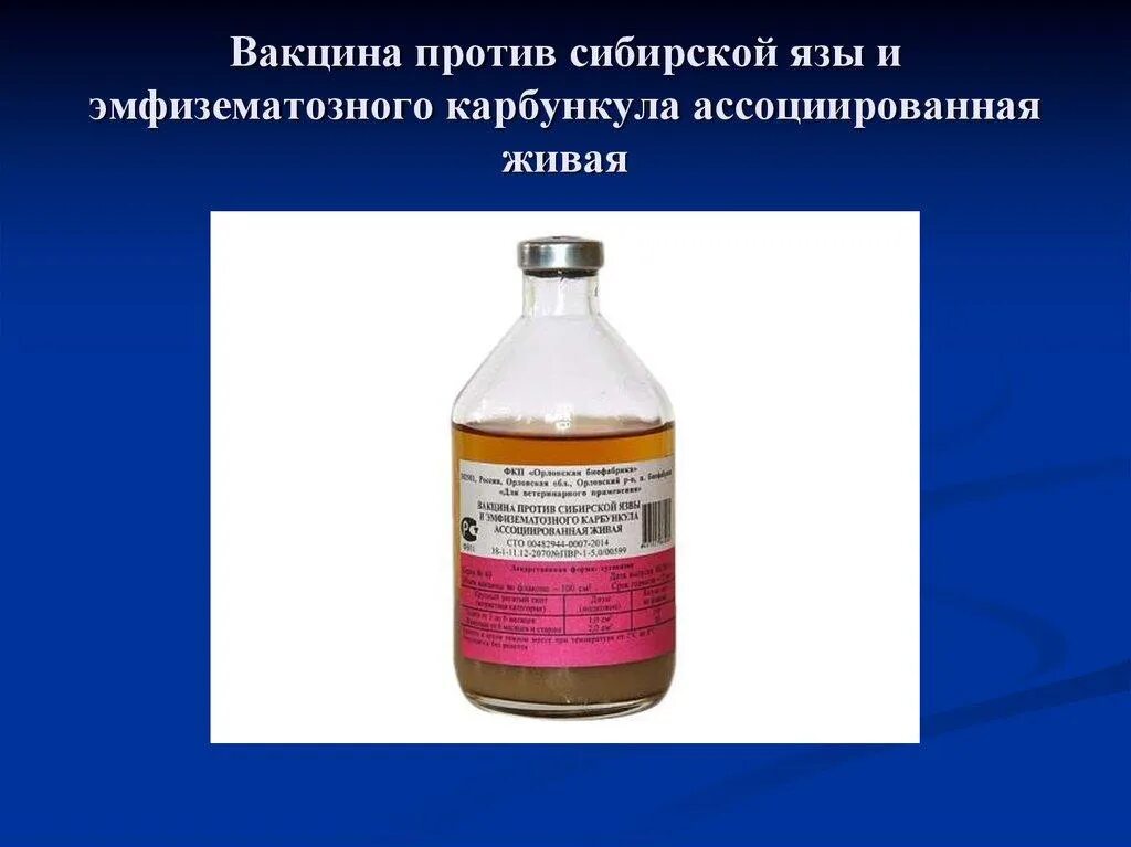 Ассоциированная вакцина сибирская язва эмкара. Вакцина против эмфизематозного карбункула. Техника постановки вакцины против сибирской язвы. Профилактика сибирской язвв. Инструкция по вакцине против сибирской язве.