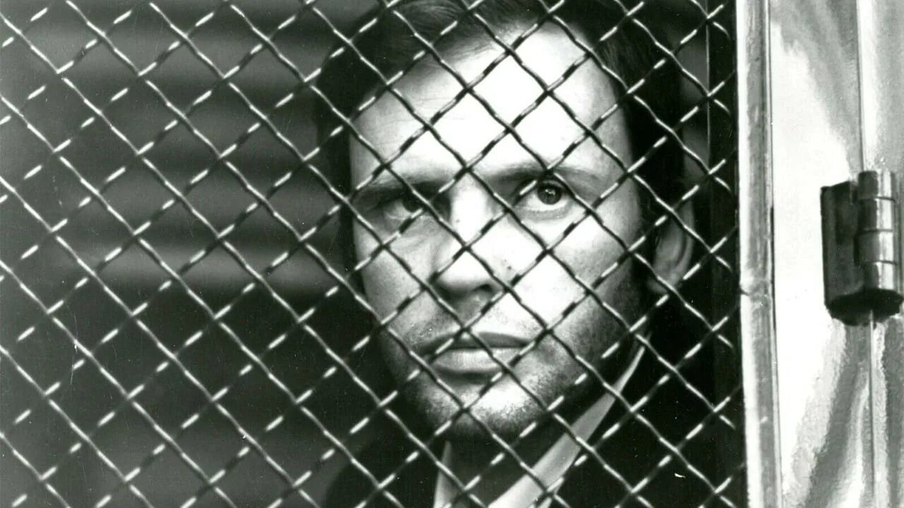 Связанные девушки в заложниках. Похититель преступлении. Флоринда болкан фото. Похищая стеллу / kidnapping stella (2019). Преступник грабитель.