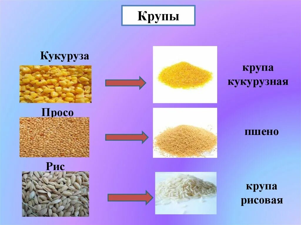 Как называется похожий на рис. Крупы. крупы названия. крупы из проса. крупы похожие на рис.