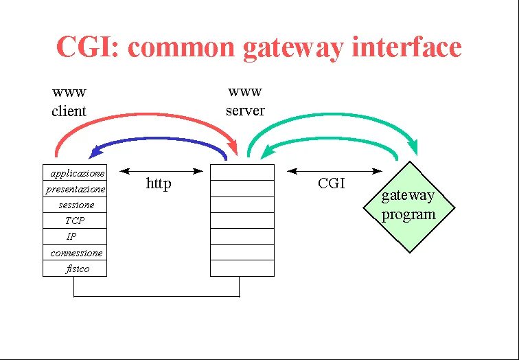 Common script. Web-сервер cgi. Cgi Интерфейс. Cgi скрипты что это. Cgi протокол.