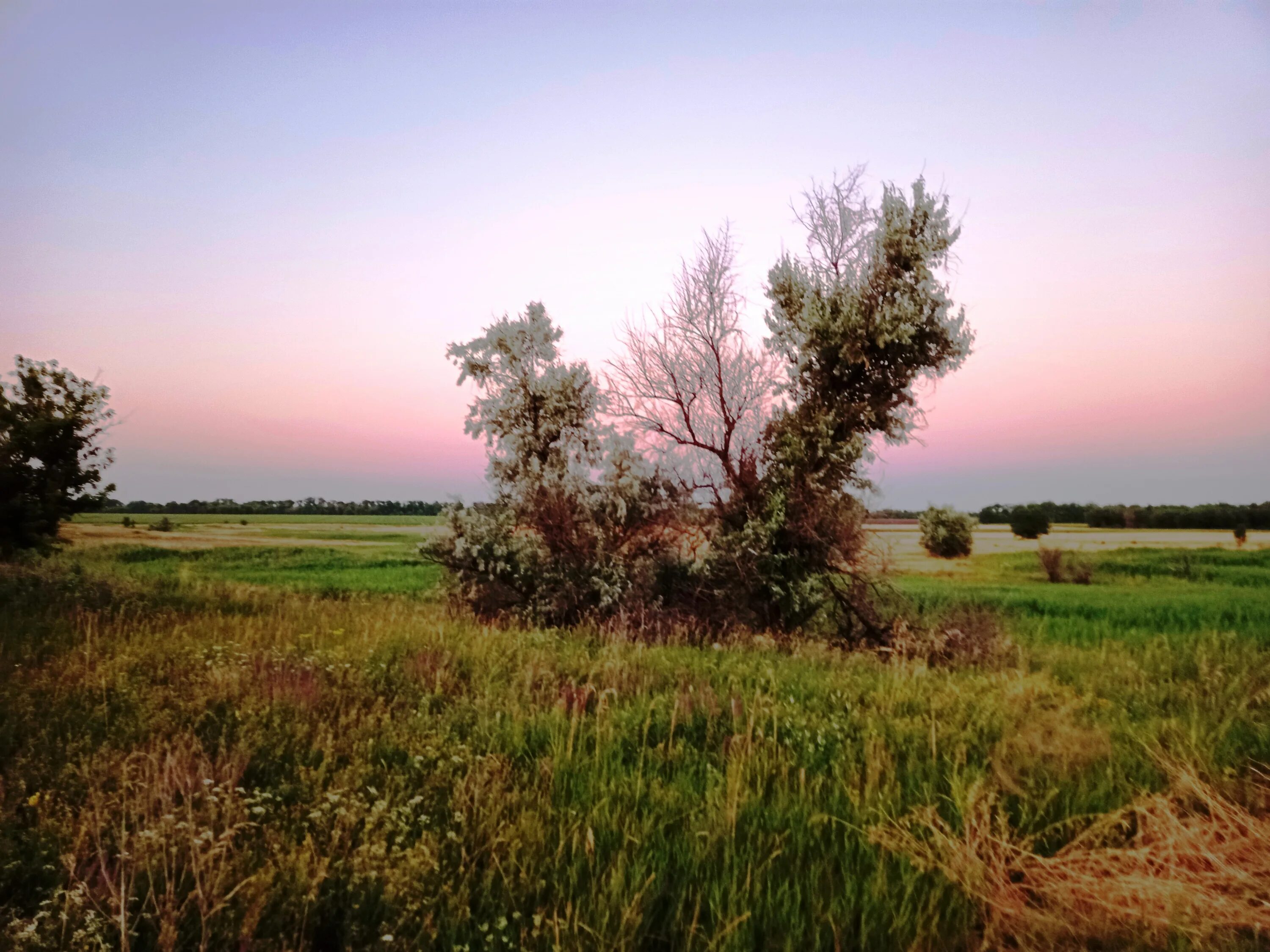 Байрак харьковская область. Село байраки. Село байраки. Село байраки. Байрак харьковская область.