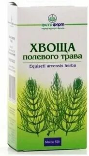 Отзывы полевая