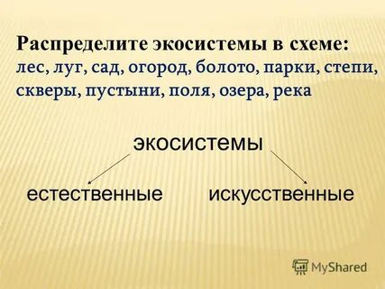 Распределенные экосистемы
