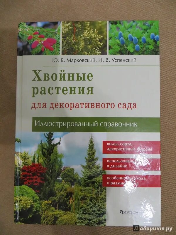 Книги хвойных. Марковский хвойные растения для декоративного сада. Хвойные растения книга Марковский. Хвойные растения для декоративного сада иллюстрированный справочник. Книги про хвойные растения.