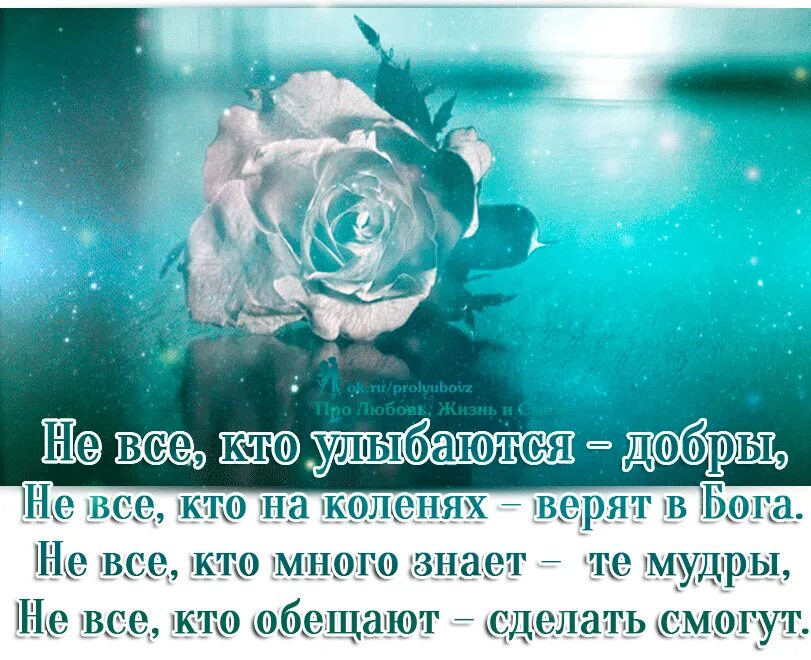 Душа жизнь цитаты. Умные цитаты про жизнь. цитаты про душу. открытки о жизни. добрые слова о смысле жизни.