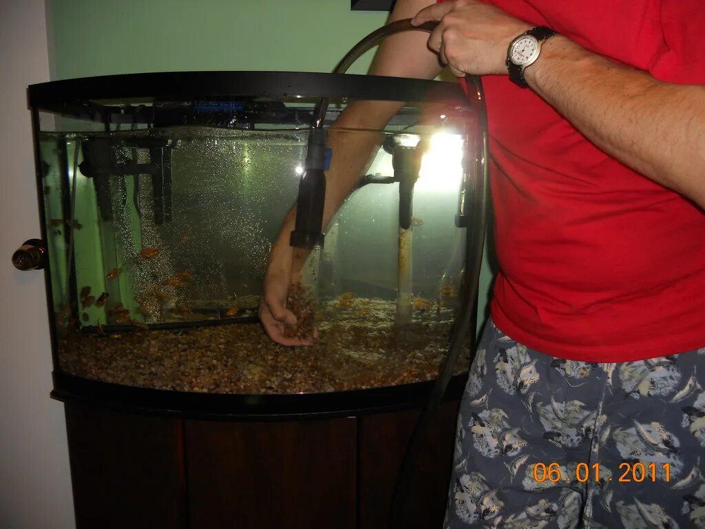 Домашний аквариум для начинающих. Уборка в аквариуме. Уход за аквариумом. Нано травник аквариум. Аквариум для детей.