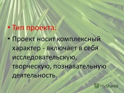 Действия ребенка носят характер