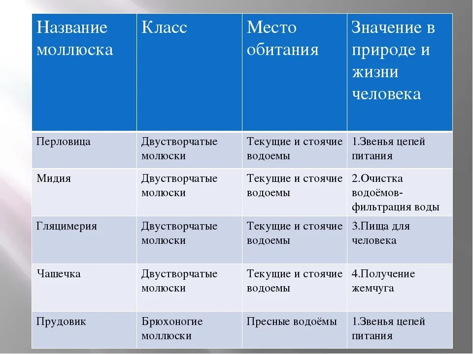 Биология 7 класс брюхоногие моллюски таблица. Класс брюхоногие моллюски 7 класс биология таблица. Таблица брюхоногие двустворчатые головоногие 7 класс биология. Сравнительная характеристика классов моллюсков. Брюхоногие признаки таблица