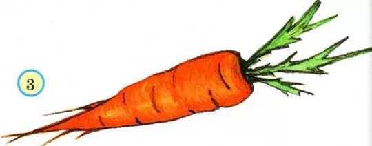 Морковка рисунок. Морковка рисунок карандашом. Морковь рисунок карандашом. Рисунки простым карандашом морковь.