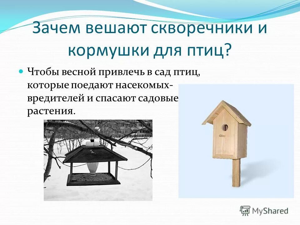 Творческий проект кормушка. Проекты скворечников для птиц. проект кормушка для птиц. презентация на тему скворечник. презентация на тему кормушка.