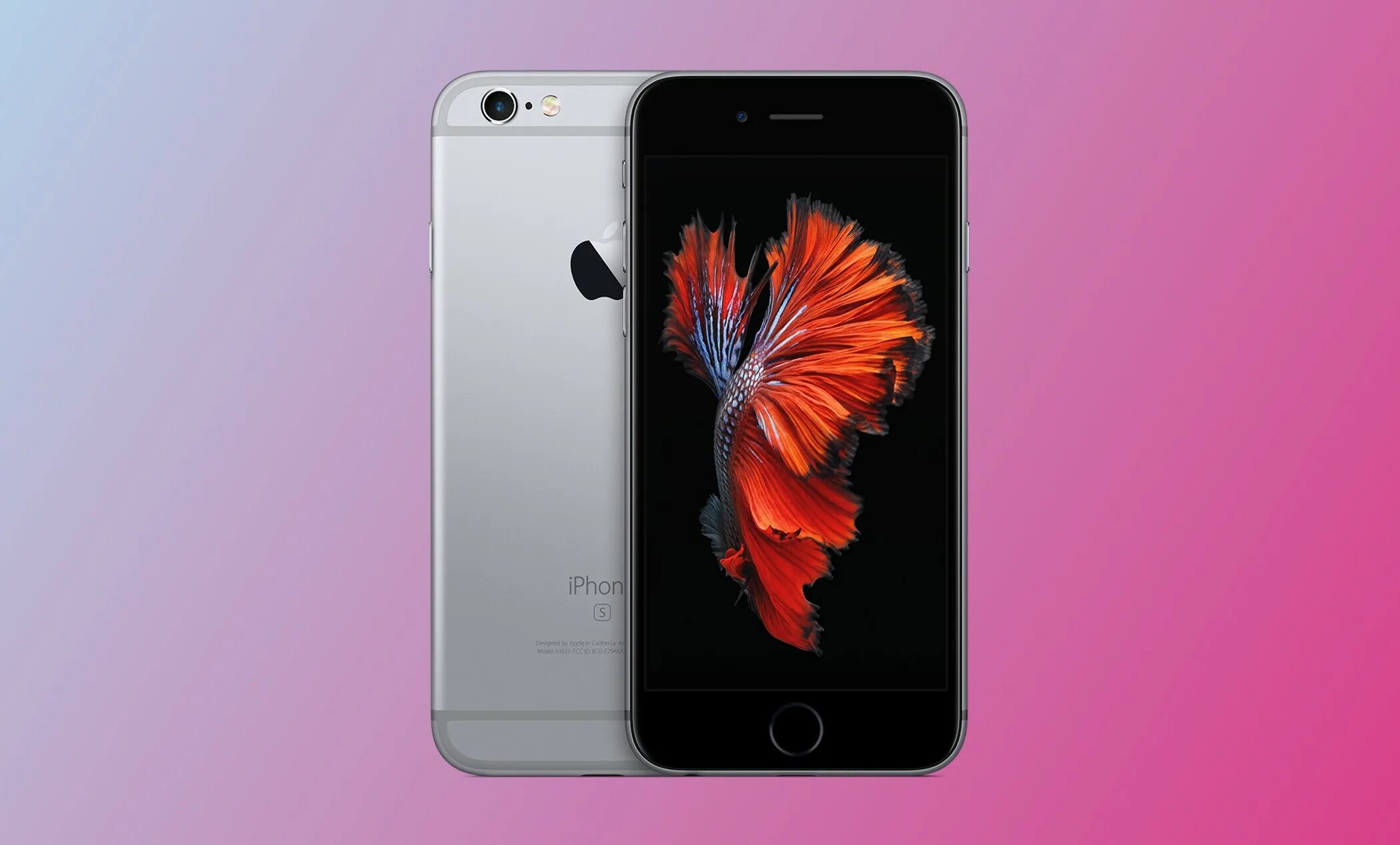 Iphone se 2025 ios. Афон се 2025. айфон 16. iphone se 2025 размер. iphone se 2025 зад.