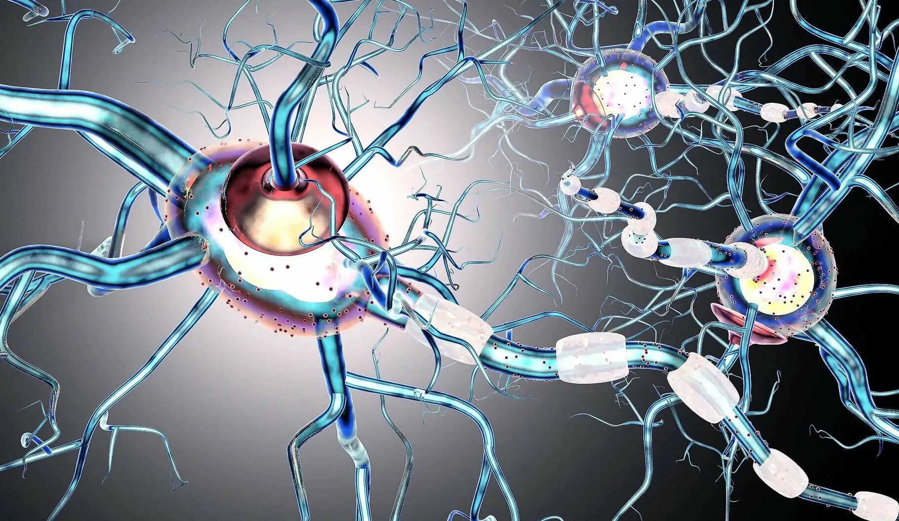 Миелин рассеянный склероз. Нарушение нервных клеток. Механизмы развития нарушений нервной системы. Поражение нервной системы. Болезнь двигательного нейрона боковой амиотрофический склероз.