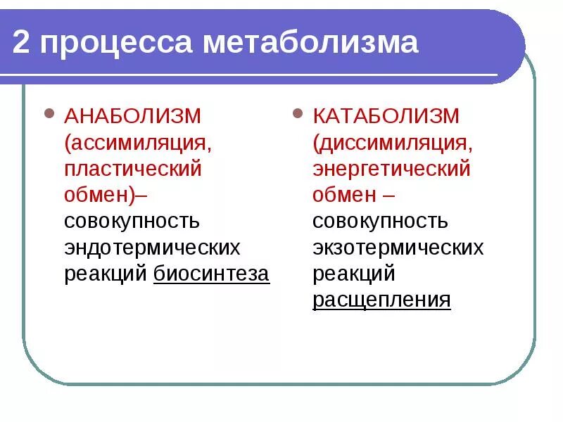 Из каких двух процессов состоит обмен веществ. Метаболизм 2 процесса. Метаболизм состоит из 2 процессов. Обмен веществ это процесс. 2 белковый обмен