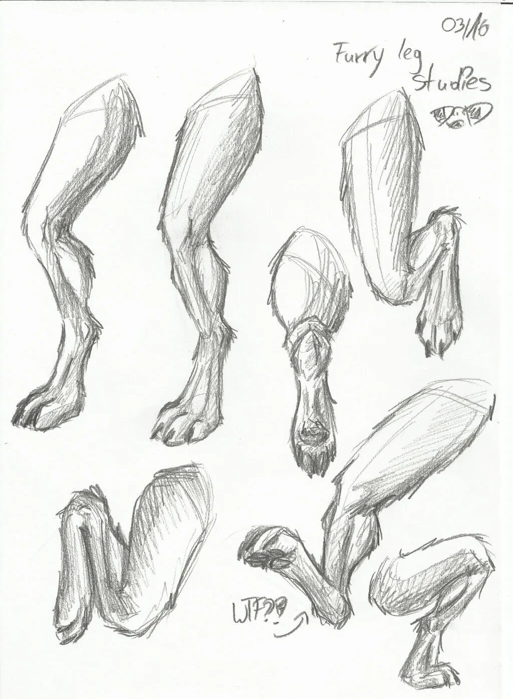 следы зайчика. лапки зайца. отпечаток лапы кролика для детей. собачья лапа. лапки зайчика.