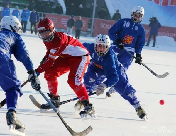 Чемпионат россии хоккей с мячом 2023 2024. Хоккей с мячом Чемпионат России 2023-2024. Хоккей с мячом Финляндия картинки.