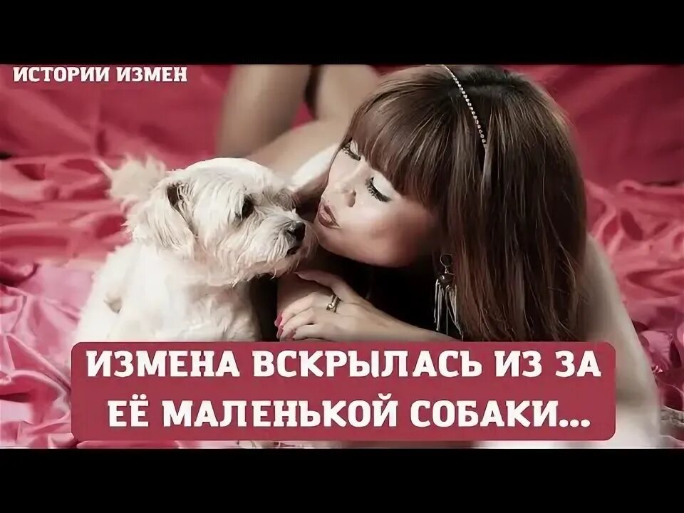 Собака с девушкой спариваются. Парень девушка и собака. Жена изменяет мужу с собакой. Реальные измены женщин. Триллер про богатого мужчину и женщину.