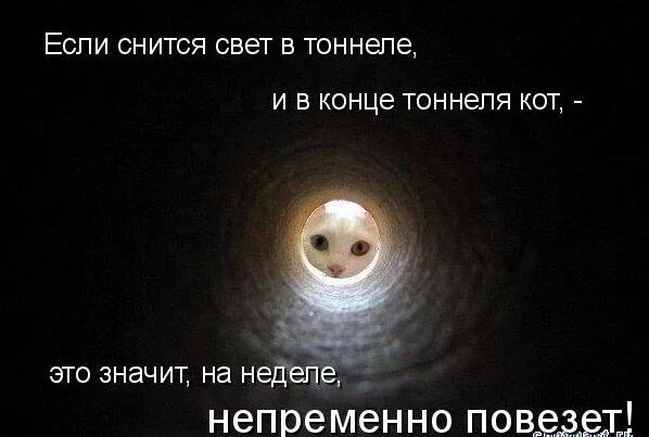 Песня в конце тоннеля яркий. Песня в конце тоннеля яркий. Слова песни останусь город 312. Останусь текст. Свет в конце тоннеля юмор.