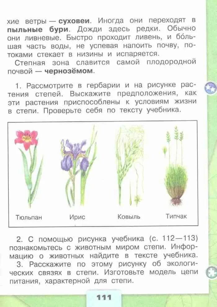 Стр 55 58 окружающий мир 4 класс