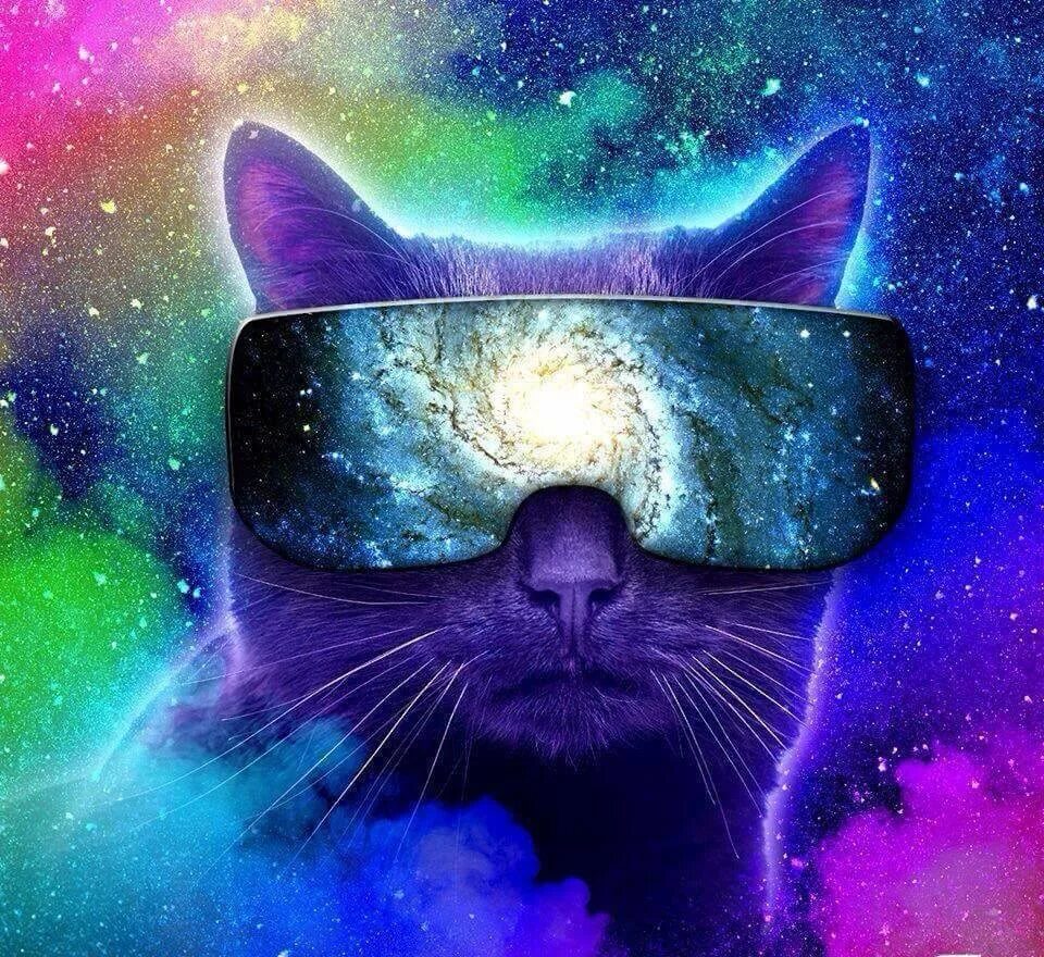 Космический кот. Крутые кошки. Кот в космосе. Кот на аву.