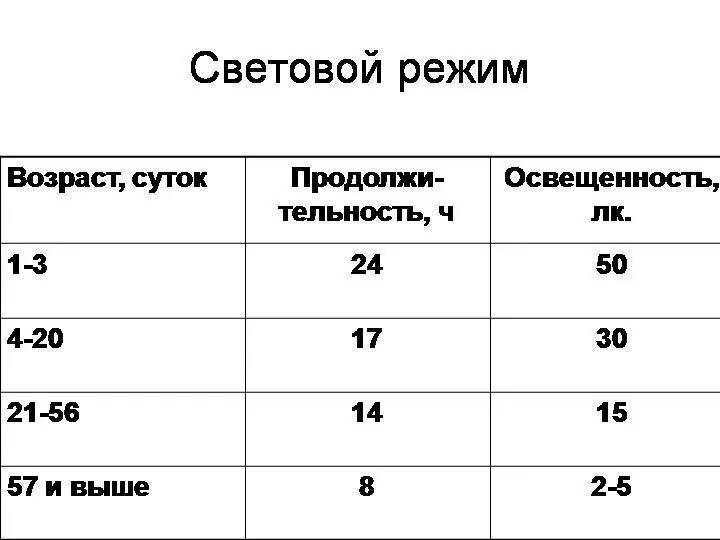 Таблица освещения для цыплят бройлеров. Режим освещения для цыплят бройлеров в брудере. Режим освещения для цыплят бройлеров. Световой режим цыплят бройлеров Росс 308.