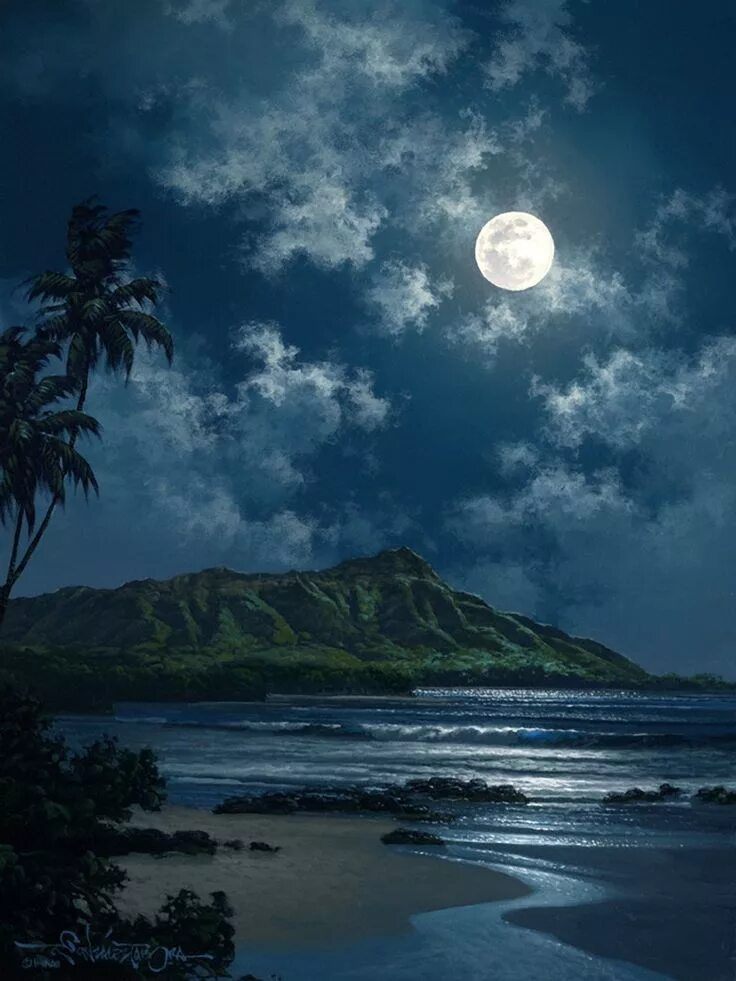 Download Beach Night At The Carribbean Sea Wallpaper Wallpapers.com