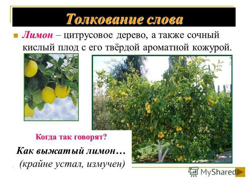 словосочетание со словом. словосочетание онлайн. слова с чн. слова связанные по смыслу. словосочетание это.