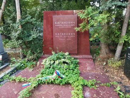 Могила ширвиндта на новодевичьем